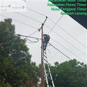 Vậ