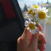 Ch
