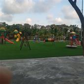Lị