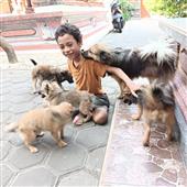 Kẹ