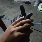 Cá