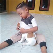 Bó