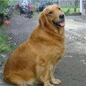 Ma