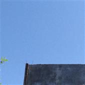 Võ
