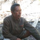 Bố