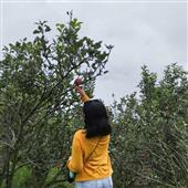 Ca
