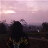 Li