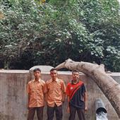 Tỷ
