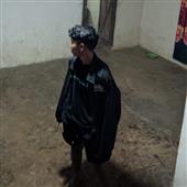 Bó