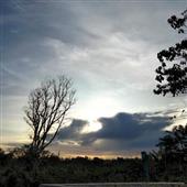 Ca