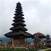 Tỷ