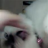 Ge