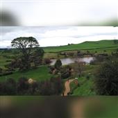 Cá