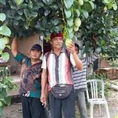 Kỳ