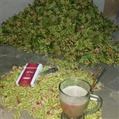 Lị