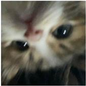 Ch