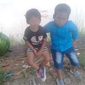 Cử