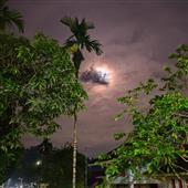 Bữ