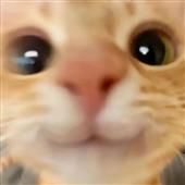 Ha