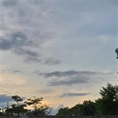 Xú