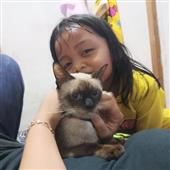 Lị