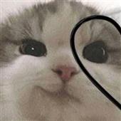To