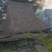 Vậ