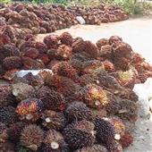 Kế
