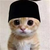Cô