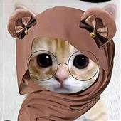 Ty