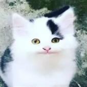 So