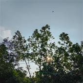 Vẻ