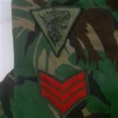Gi