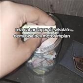 Vi