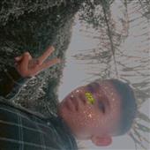 Bl
