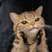 KI