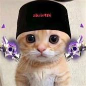 Đu