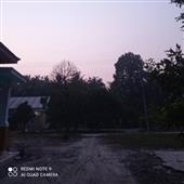 Ju