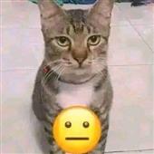 Wo