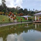 Lị