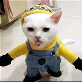 Xe