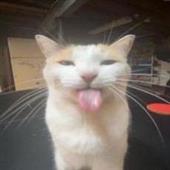 Th