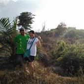 Dự
