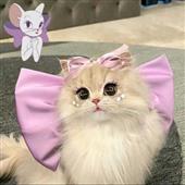 Má