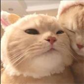 Lị