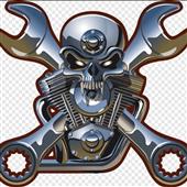 Gi