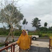 Xế