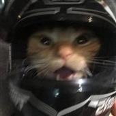 Ph