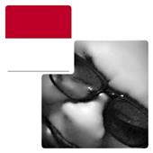 Tr