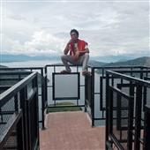 Dự